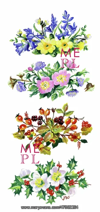 : Four sprays of flowers of the four seasons : Four sprays of flowers of the four seasons