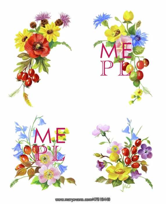 : Four sprays of mixed flowers and berries : Four sprays of mixed flowers and berries