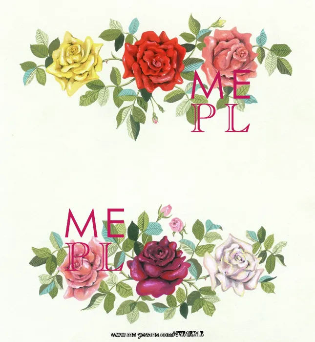  : Two sprays of Roses