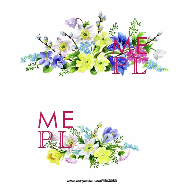 : Two sprays of spring flowers : Two sprays of spring flowers