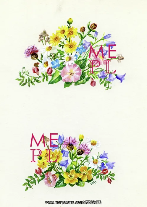 : Two sprays of summer flowers : Two sprays of summer flowers