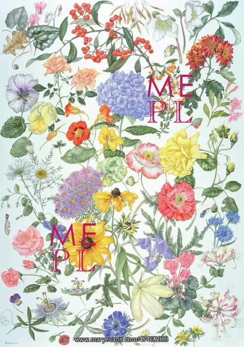 : Spreading The Year ? flower design : Spreading The Year ? flower design