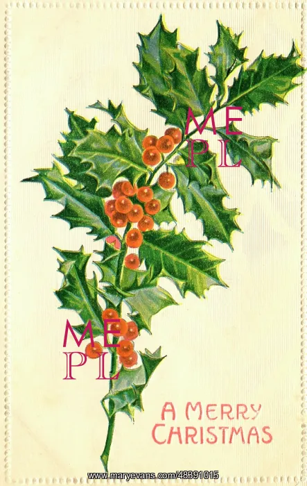  : A sprig of holly with berries