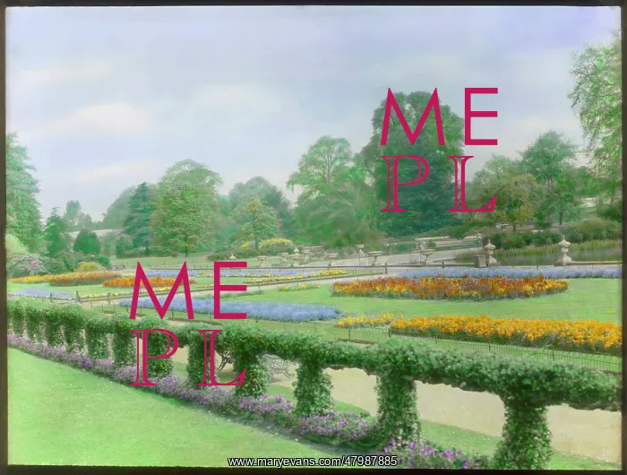 : Spring bedding at Kew Gardens : Spring bedding at Kew Gardens