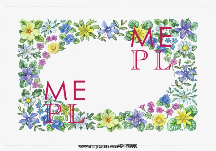 : Spring Border ? with primroses, etc : Spring Border ? with primroses, etc