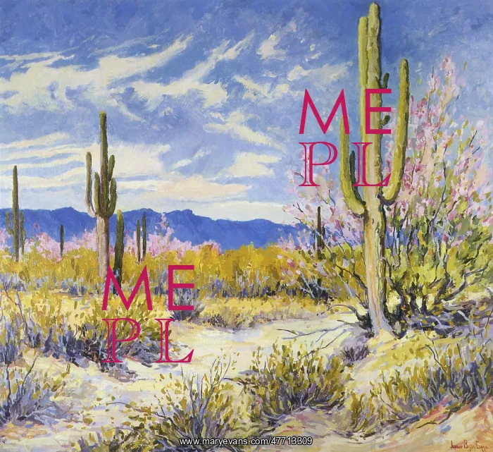  : Spring in the Desert
