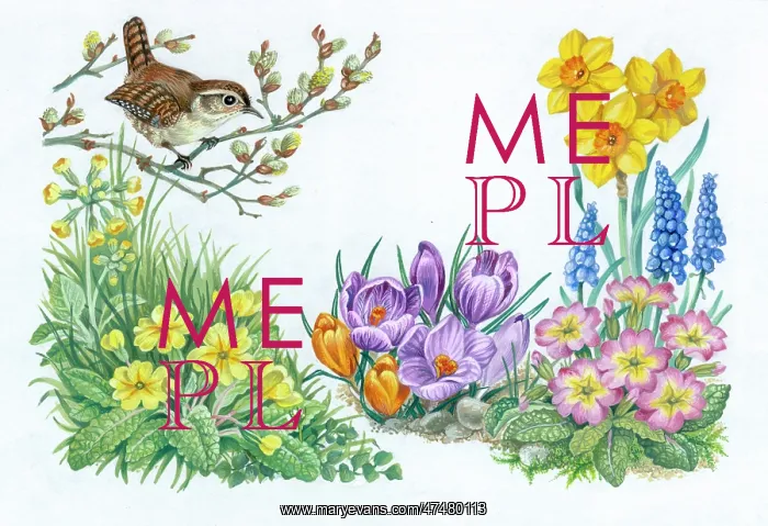 : Spring design with Wren on Pussy Willow etc : Spring design with Wren on Pussy Willow etc