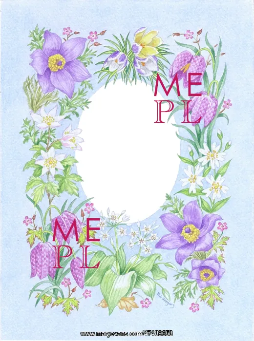 : Spring Floral Border : Spring Floral Border
