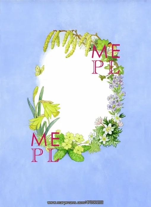 : Spring flower border for Easter : Spring flower border for Easter