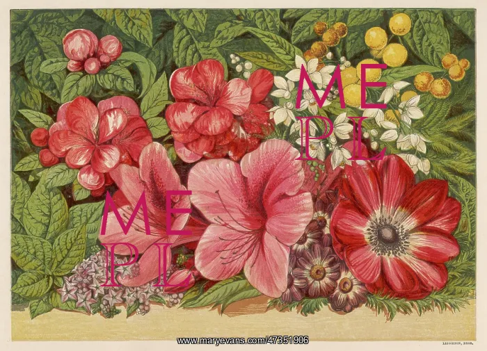 : Spring Flowers 1866 : Spring Flowers 1866