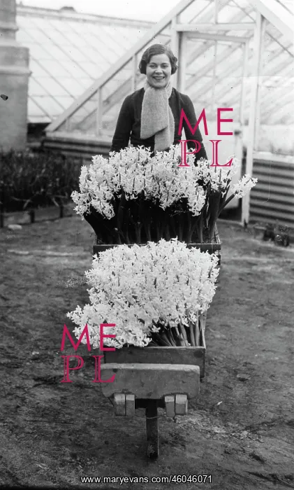 : Spring flowers 1934 : Spring flowers 1934