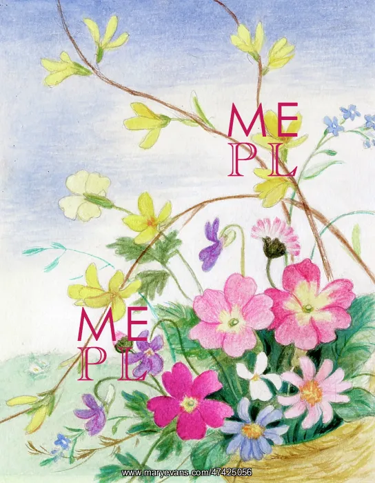 : Spring flowers : Spring flowers