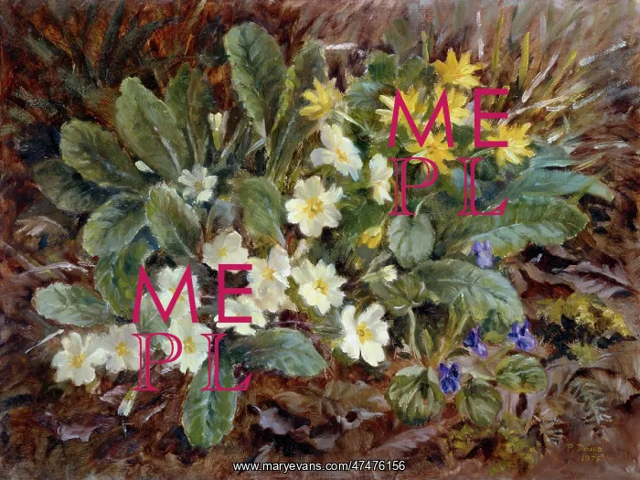  : Spring Flowers