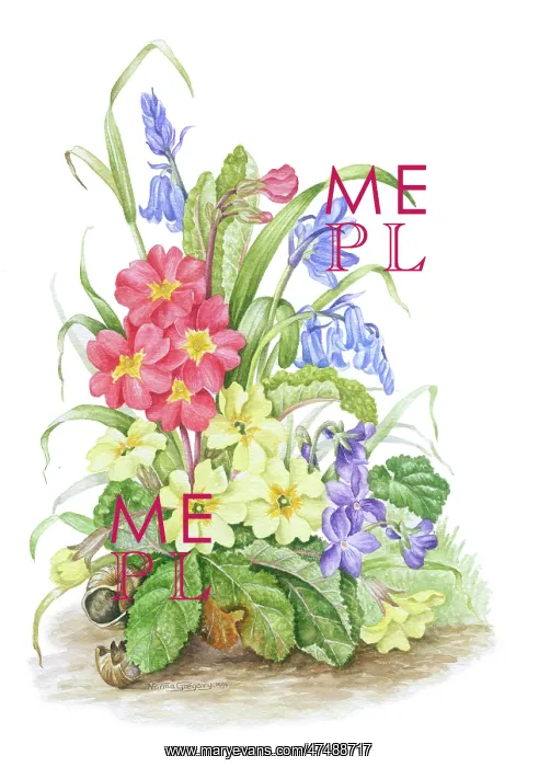  : Spring Flowers