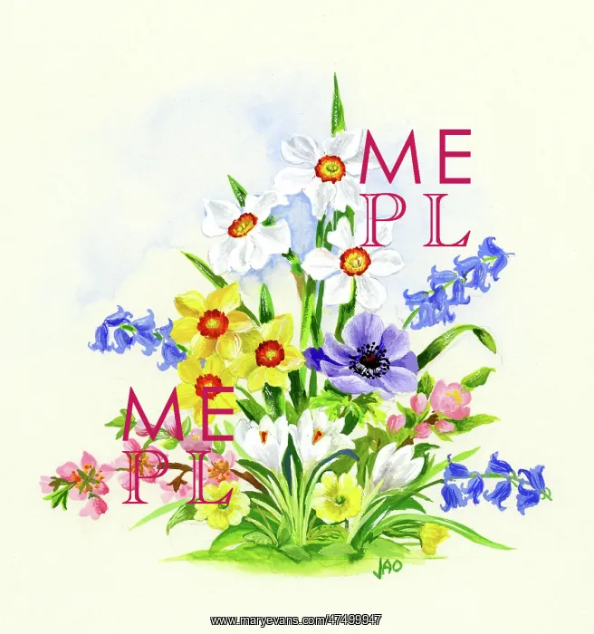 : Spring Flowers : Spring Flowers