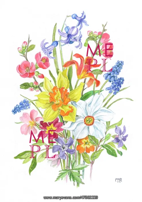 : Spring Flowers : Spring Flowers
