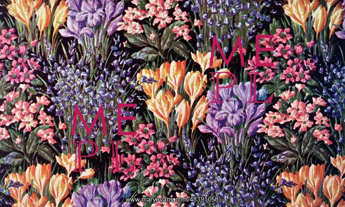  : Spring flowers