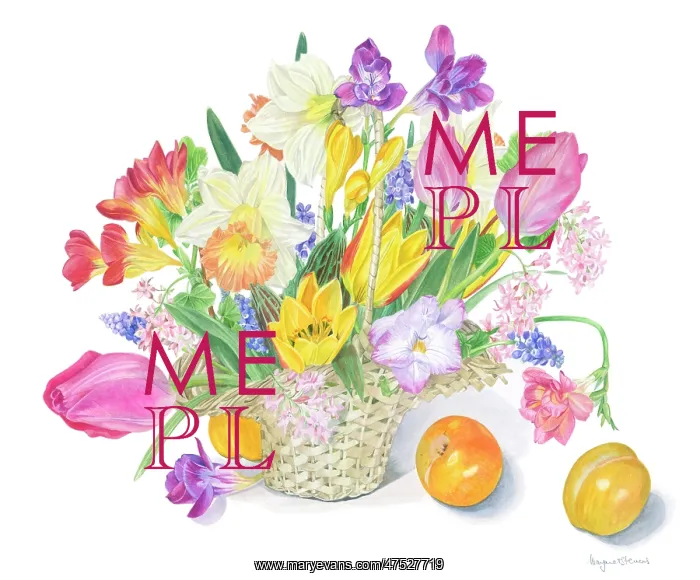 : Spring flowers in a basket : Spring flowers in a basket