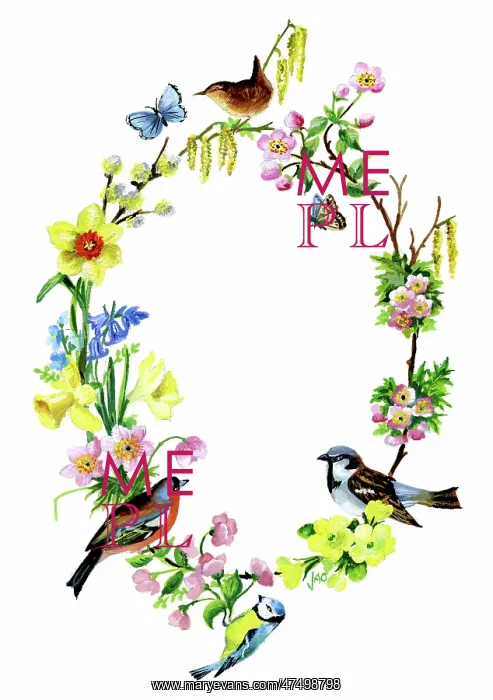 : Spring flowers, birds and butterflies : Spring flowers, birds and butterflies