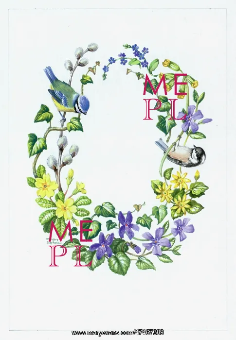 : Spring Flowers with Blue Tit and Coal Tit : Spring Flowers with Blue Tit and Coal Tit