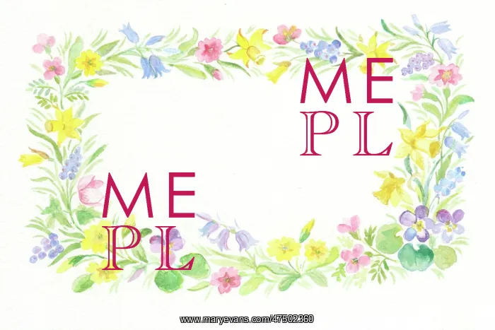 : Spring flowers border : Spring flowers border
