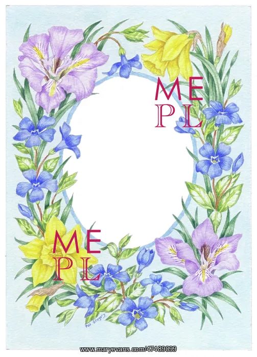 : Spring Flowers Border - with oval centre : Spring Flowers Border - with oval centre