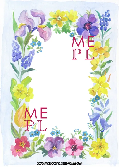 : Spring Flowers Border - pansies, tulips, daffodils : Spring Flowers Border - pansies, tulips, daffodils