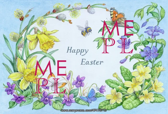 : Spring Flowers with Butterflies and Bee : Spring Flowers with Butterflies and Bee