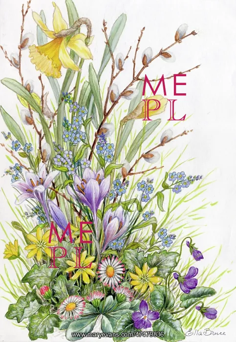  : Spring Flowers (dafodills, crocuses, forget-me-nots etc)