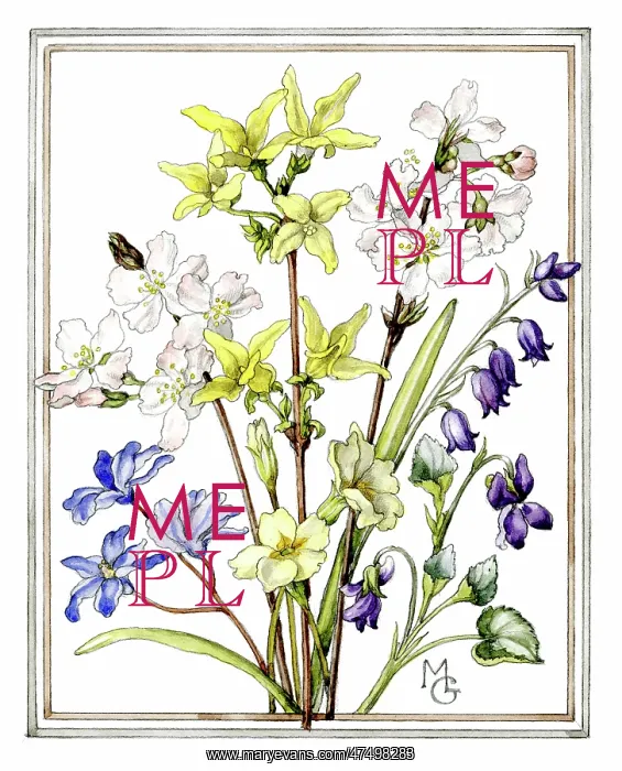 : Spring Flowers in a frame : Spring Flowers in a frame