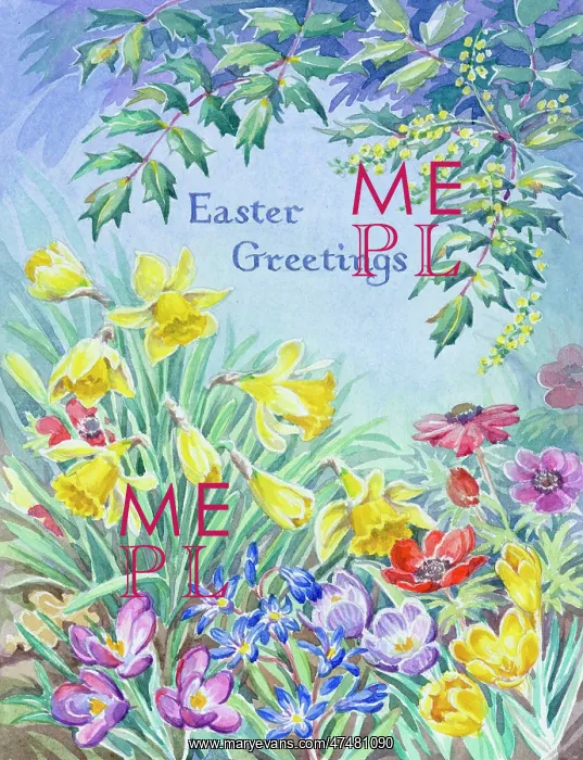 : Spring Flowers including daffodils, crocus, scilla : Spring Flowers including daffodils, crocus, scilla