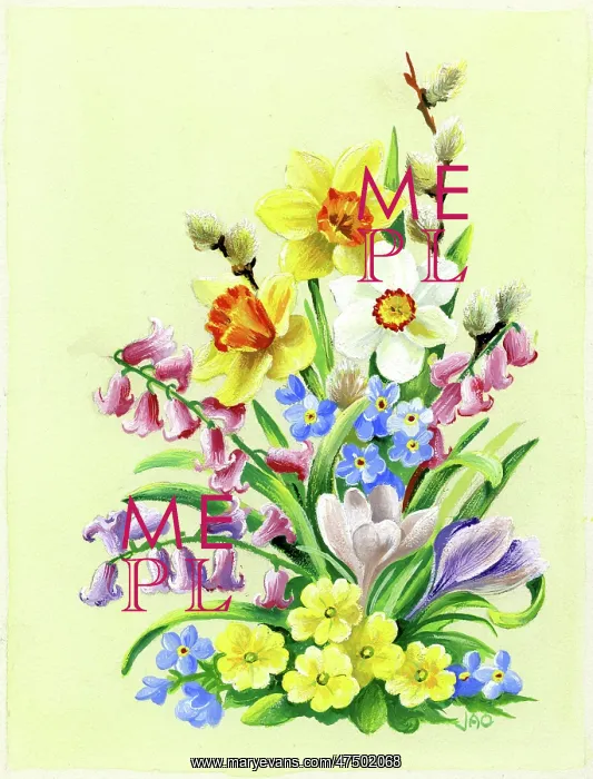 : Spring flowers including daffodils and primroses : Spring flowers including daffodils and primroses