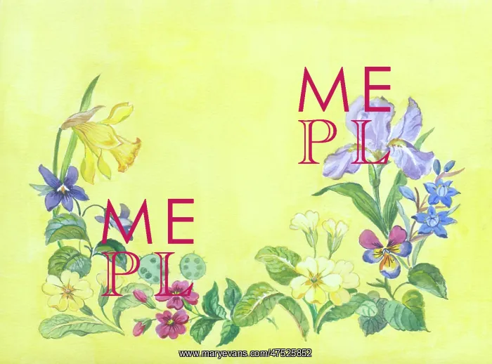 : Spring Flowers - Iris, Daffodil, Primroses etc : Spring Flowers - Iris, Daffodil, Primroses etc