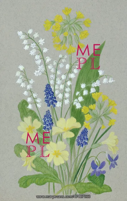  : Spring Flowers ? Lily of the Valley, Grape Hyacinth, Primro