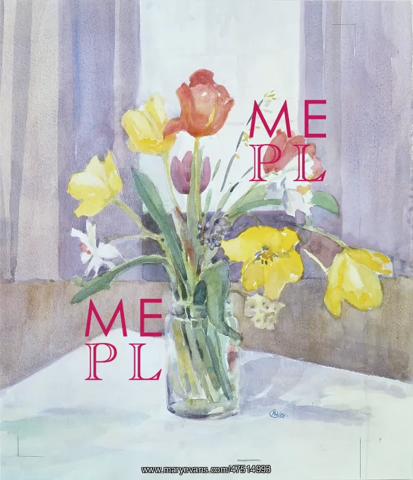 : Spring Flowers ' tulips and narcissi : Spring Flowers ' tulips and narcissi