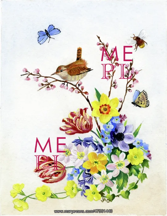 : Spring flowers with wren, butterflies and bee : Spring flowers with wren, butterflies and bee