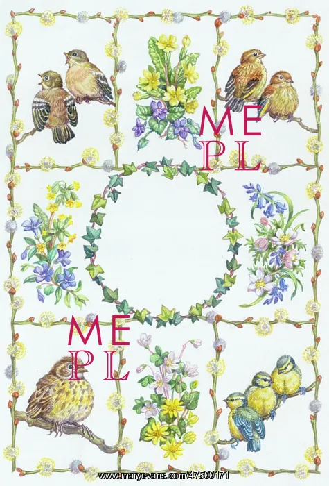 : Spring Flowers and Young Birds - composite : Spring Flowers and Young Birds - composite
