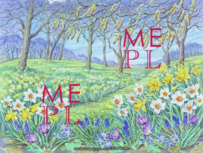  : Spring garden with daffodils, narcissi, crocus