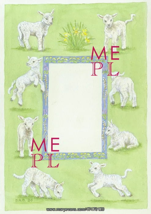  : Spring Lambs border design