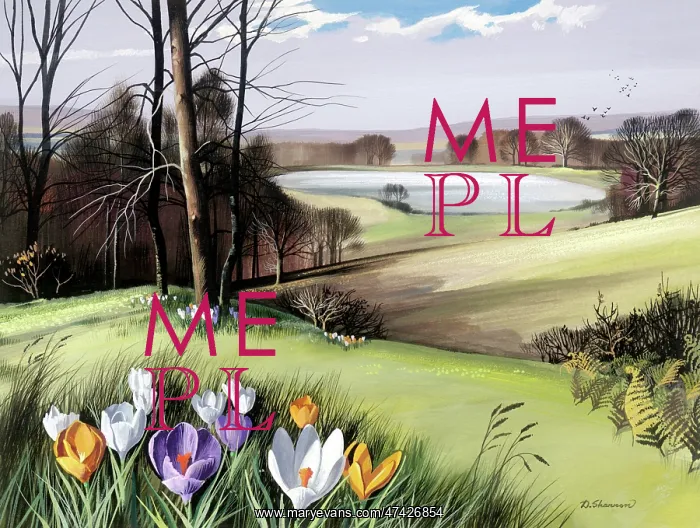 : Spring Landscape
