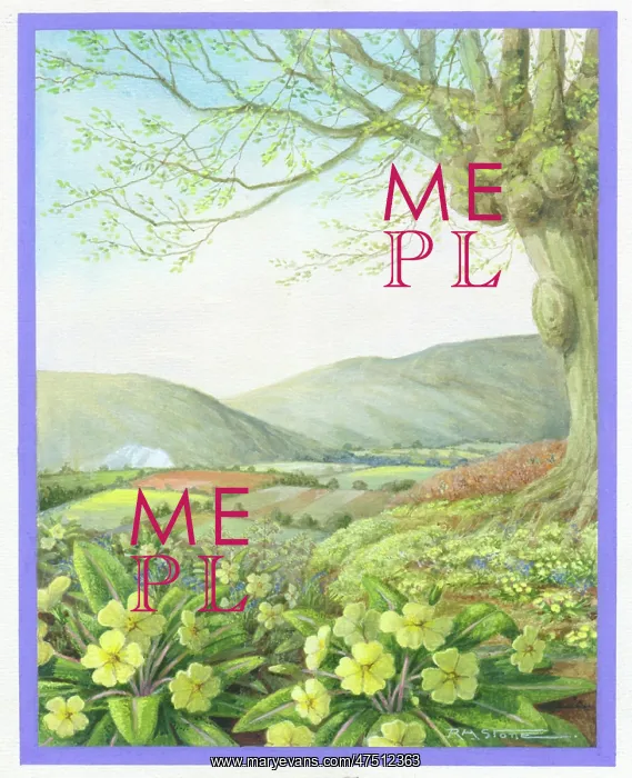 : Spring landscape with primroses : Spring landscape with primroses
