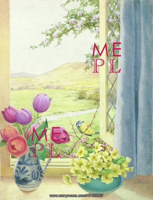 : Spring Morn - tulips & primroses on window sill : Spring Morn - tulips & primroses on window sill