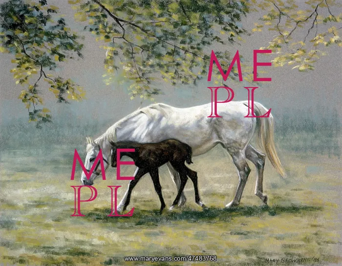 : Spring Morning ' mare and foal : Spring Morning ' mare and foal