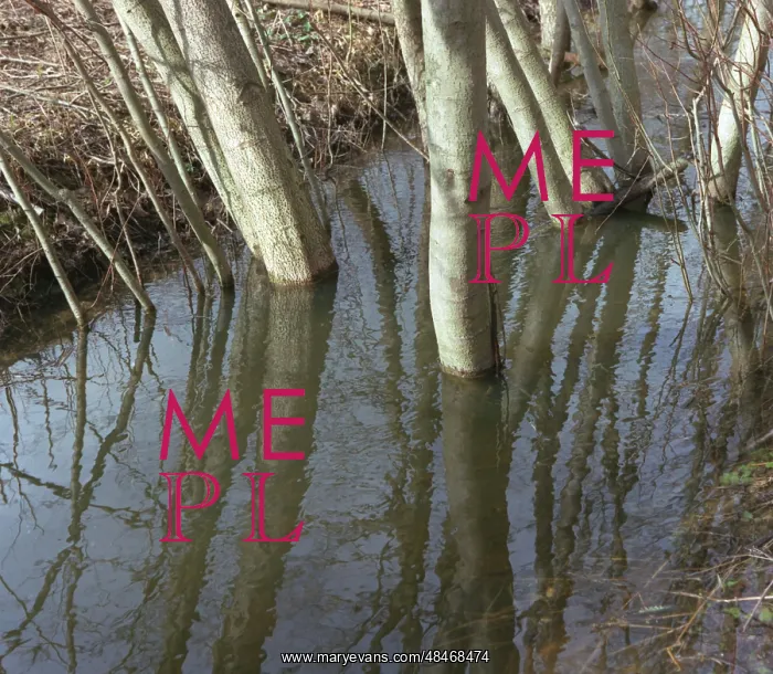 : Spring in Moscow suburbs, 1990 : Spring in Moscow suburbs, 1990