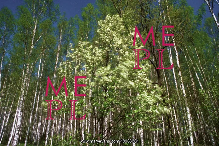 : Spring in Moscow suburbs, 1991 : Spring in Moscow suburbs, 1991