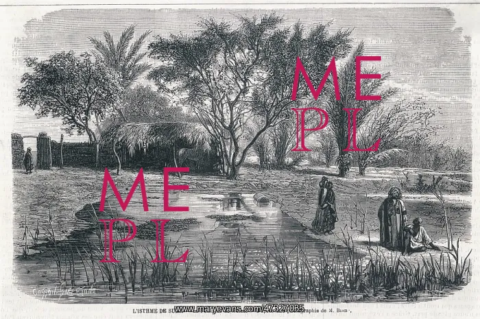 : SPRING OF MOSES, EGYPT : SPRING OF MOSES, EGYPT