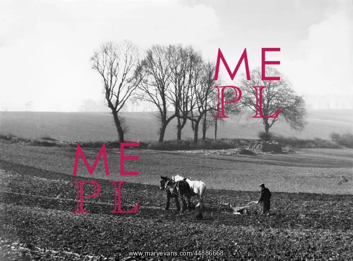: SPRING PLOUGHING 1938 : SPRING PLOUGHING 1938