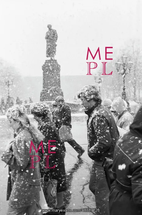 : Spring snowfall : Spring snowfall