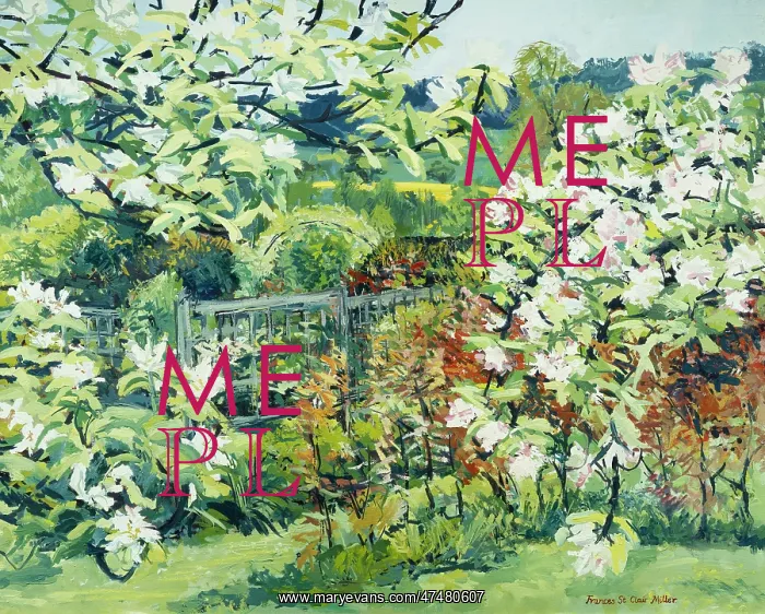  : Spring Study ' a garden