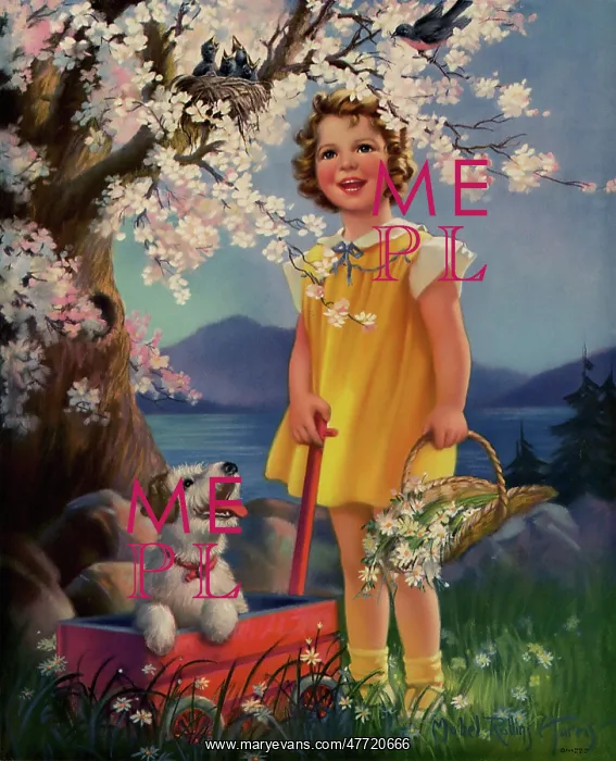 : Spring Surprise : Spring Surprise